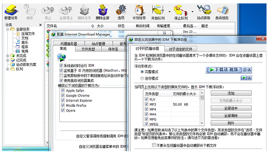 Internet Download Manager