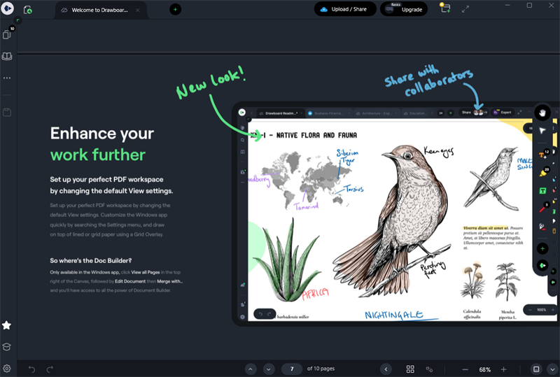 Drawboard PDF