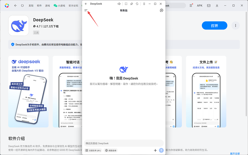 DeepSeek应用电脑版