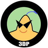 3DP Chip