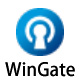 WinGatev9.4.1官方正式版