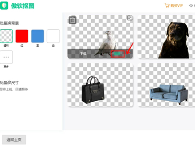 傲软抠图如何批量抠图_傲软抠图会员价格如何