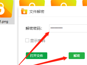 金舟文件夹加密大师重要功能介绍_金舟加密大师打开文件和解密的不同