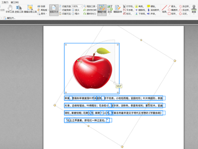 怎么自由旋转PDF内容_PDF整个页面怎么旋转