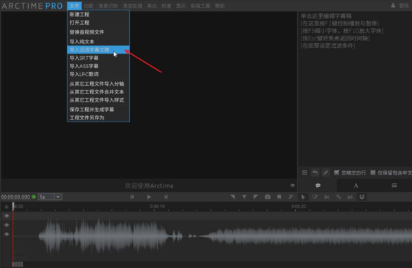如何使用Arctime软件，来给视频制作双语字幕？