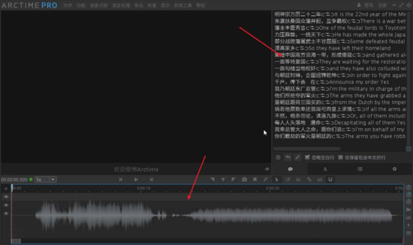 如何使用Arctime软件，来给视频制作双语字幕？
