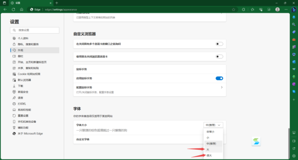 Edge浏览器怎样更改字体颜色_Edge浏览器字体太小如何变大