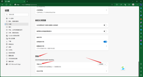 Edge浏览器怎样更改字体颜色_Edge浏览器字体太小如何变大