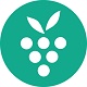 Berrycastv0.18.2官方正式版